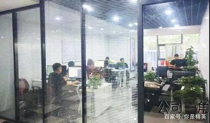 专注互联网，用心服务社会 网络技术开发与咨询的双重使命